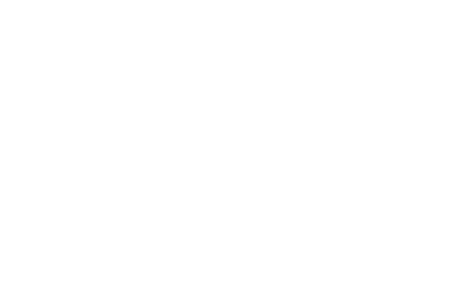 Radica Premier