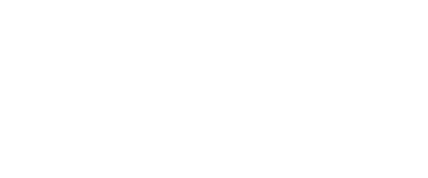 Radica Premier